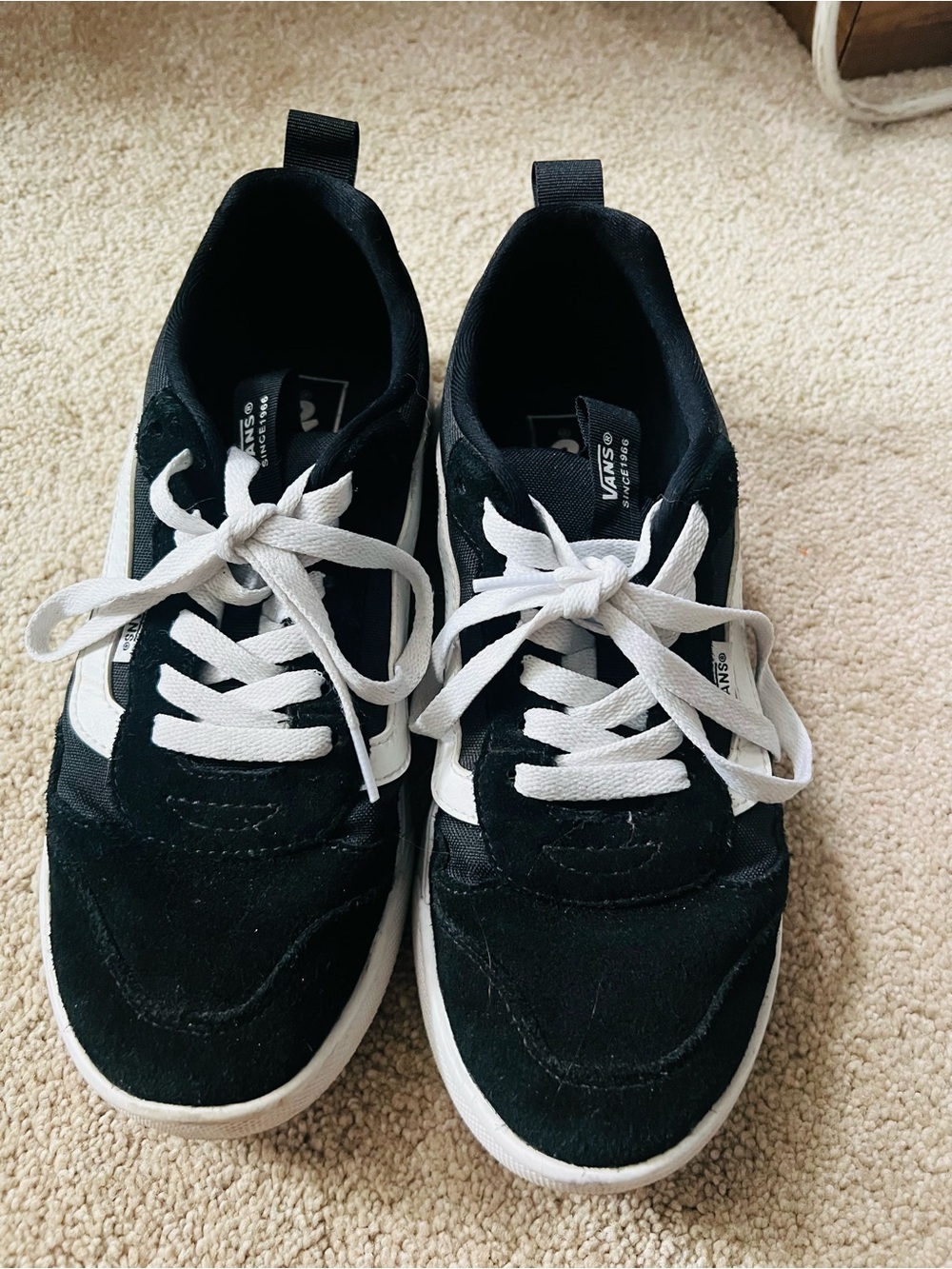Vans Black and White Men’s Lace-Up Skate Sneakers